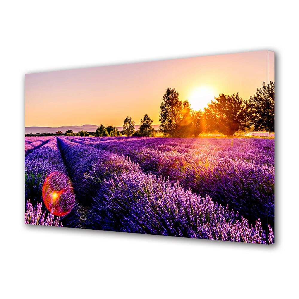 Tablou Canvas Premium Art Factory TrueColor Flori Multicolor Lavanda pe camp in lumina soarelui, Panza pe cadru de lemnDecoratiuni Moderne pentru Casa, 60 x 90 cm
